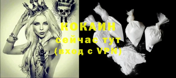 индика Аркадак
