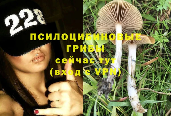 индика Аркадак
