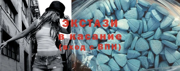 индика Аркадак
