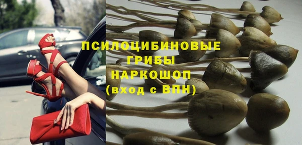 стафф Чекалин
