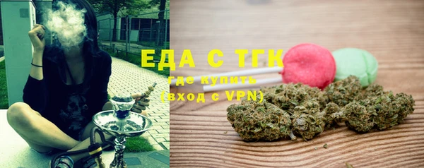 индика Аркадак